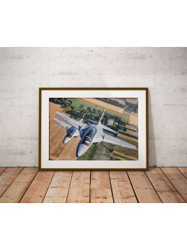 copy of Poster M346 Master