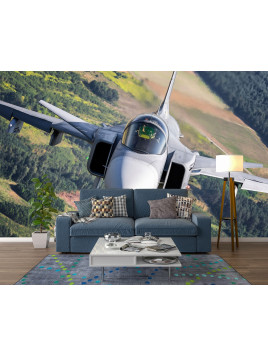 copy of Wall mural wall...