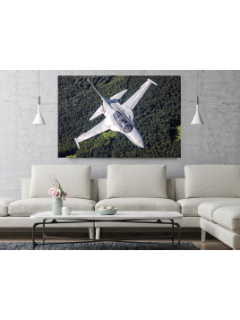 Obraz FA-50 - Siły...