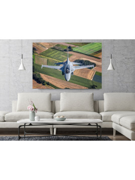 Obraz FA-50 - Siły...