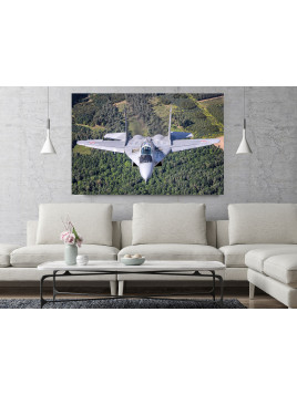 Obraz MiG-29 Siły...