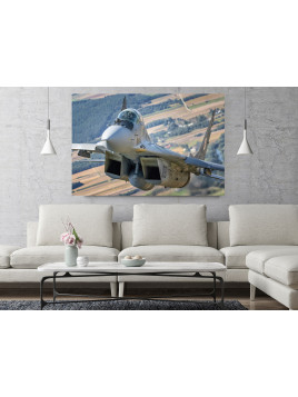 Obraz MiG-29 Siły...