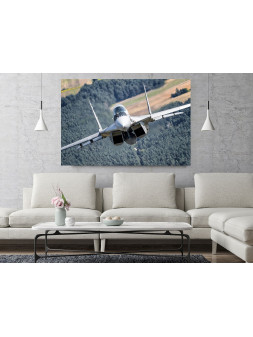 Obraz MiG-29 Siły...