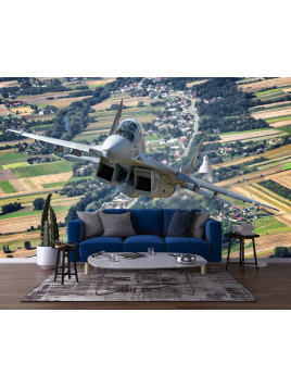 copy of Wall mural wall...